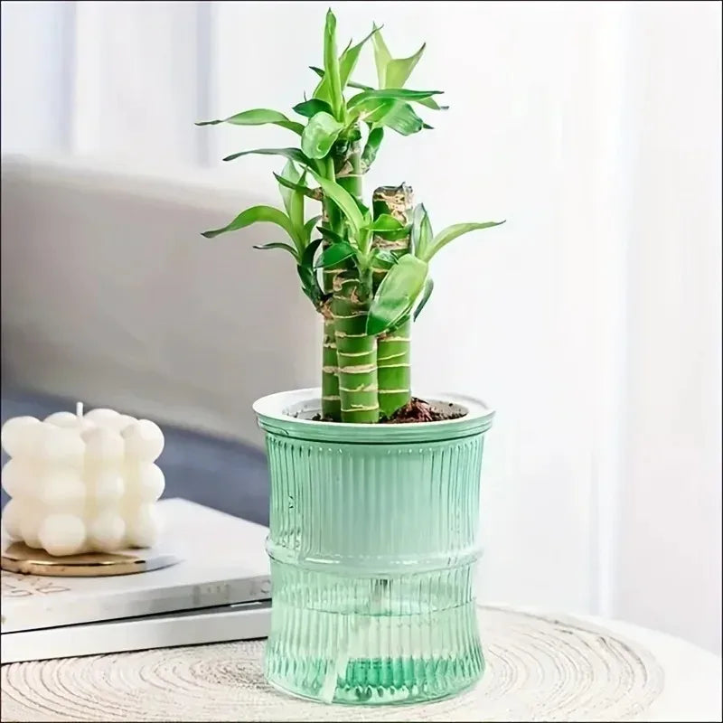 Vaso autoirrigável com sistema de absorção automática de água, transparente, de plástico com dupla camada, ideal para suculentas e decoração.