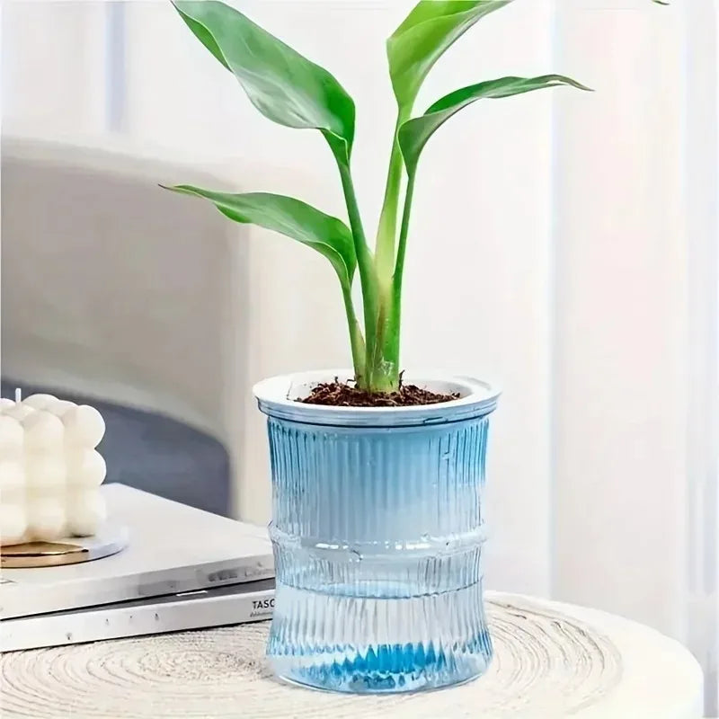 Vaso autoirrigável com sistema de absorção automática de água, transparente, de plástico com dupla camada, ideal para suculentas e decoração.