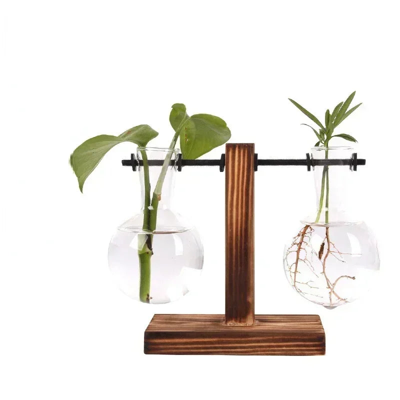 Vaso de vidro para terrário de plantas hidropônicas, decoração para casa.
