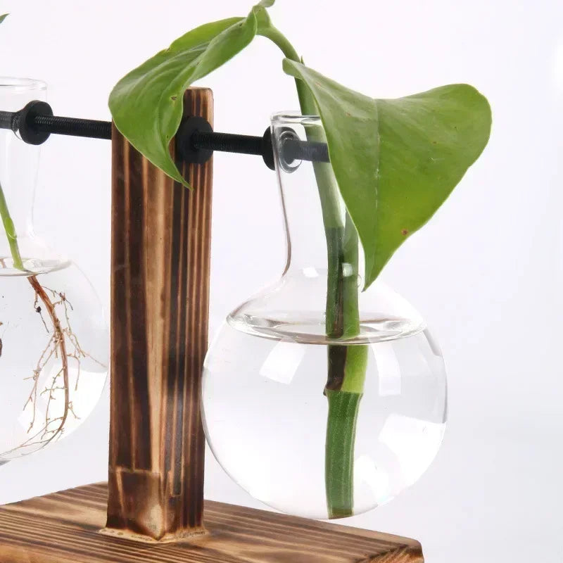 Vaso de vidro para terrário de plantas hidropônicas, decoração para casa.