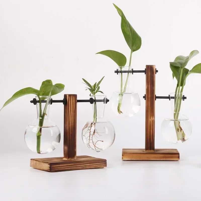 Vaso de vidro para terrário de plantas hidropônicas, decoração para casa.