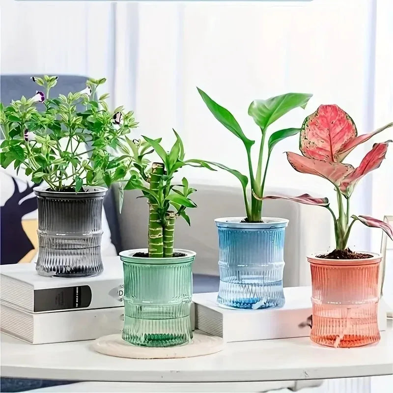 Vaso autoirrigável com sistema de absorção automática de água, transparente, de plástico com dupla camada, ideal para suculentas e decoração.