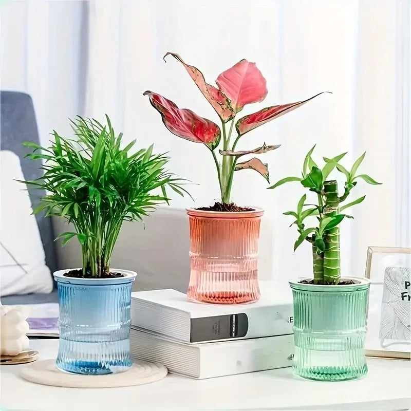 Vaso autoirrigável com sistema de absorção automática de água, transparente, de plástico com dupla camada, ideal para suculentas e decoração.