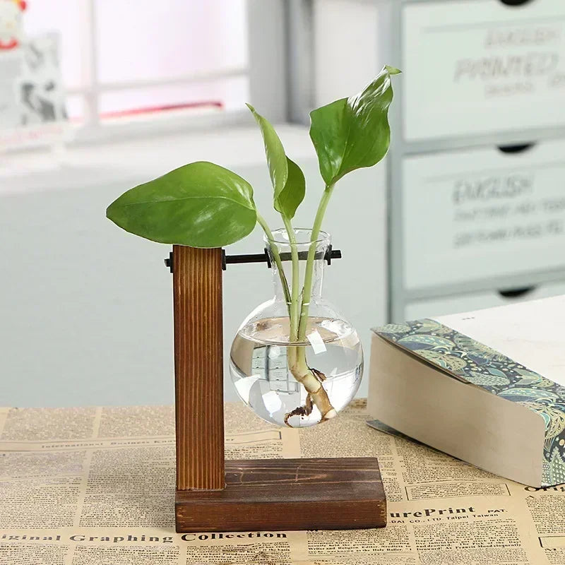 Vaso de vidro para terrário de plantas hidropônicas, decoração para casa.