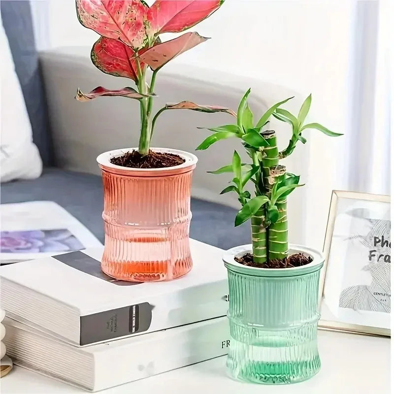 Vaso autoirrigável com sistema de absorção automática de água, transparente, de plástico com dupla camada, ideal para suculentas e decoração.