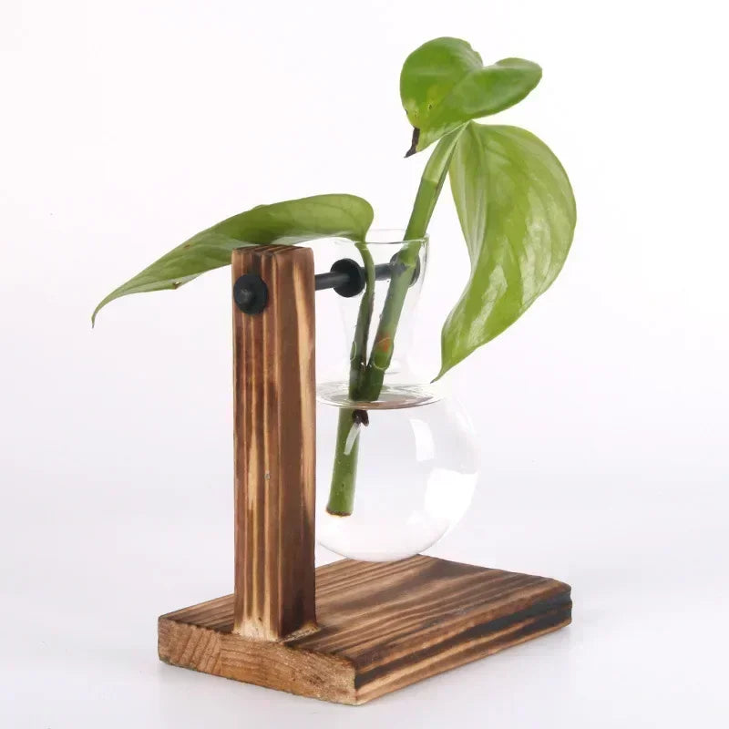 Vaso de vidro para terrário de plantas hidropônicas, decoração para casa.