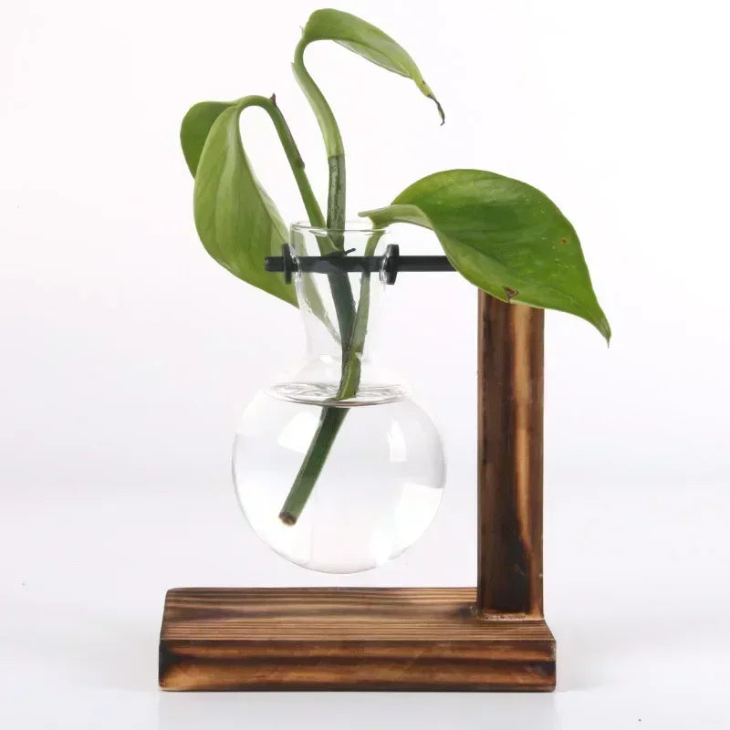 Vaso de vidro para terrário de plantas hidropônicas, decoração para casa.