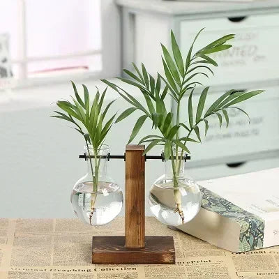 Vaso de vidro para terrário de plantas hidropônicas, decoração para casa.